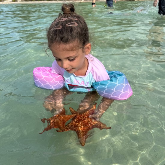 Stingray, Starfish & Snorkeling Tour
